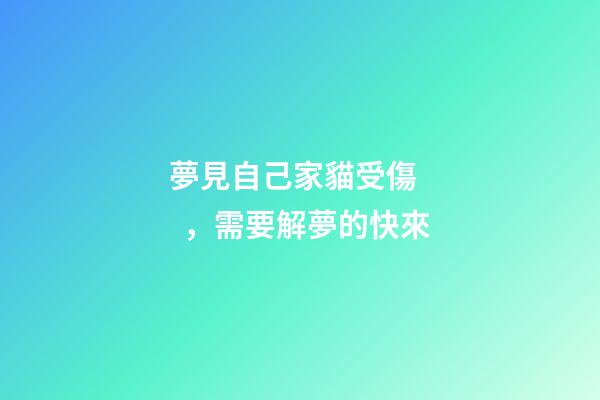 夢見自己家貓受傷，需要解夢的快來